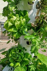 Garden-Tower-2023.1web