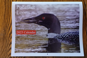 Loon Calendar Loon Calendar 2025