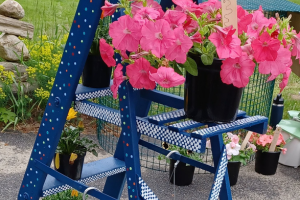 Plant and bake sale 2025